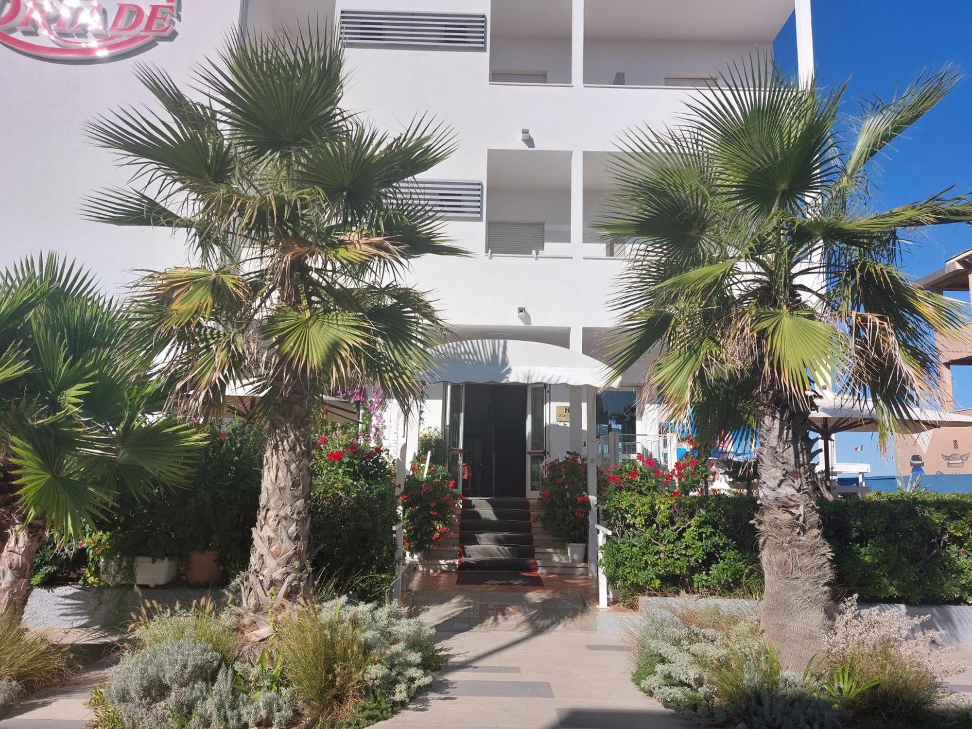 Hotel Driade Sul Mare Rímini Exterior foto