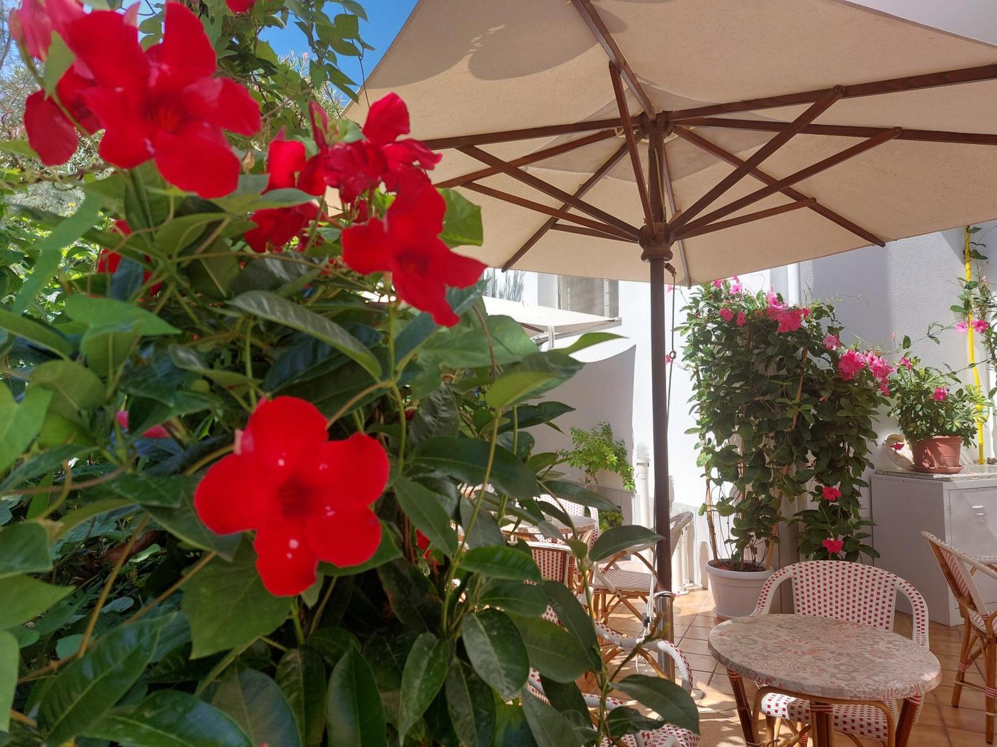 Hotel Driade Sul Mare Rímini Exterior foto